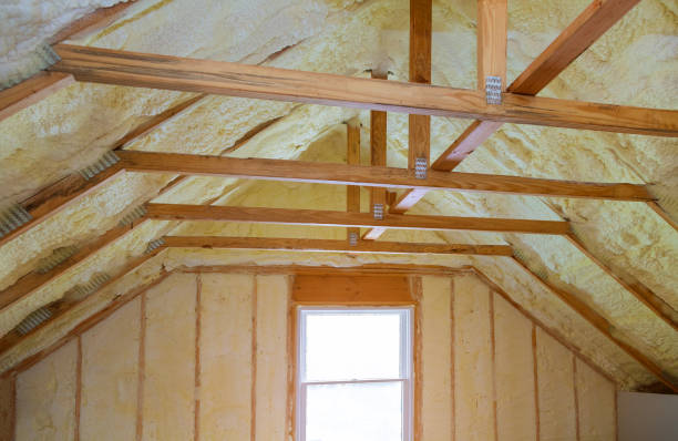 Best Geographic-Specific Insulation Services in Idyllwild Pine Cove, CA