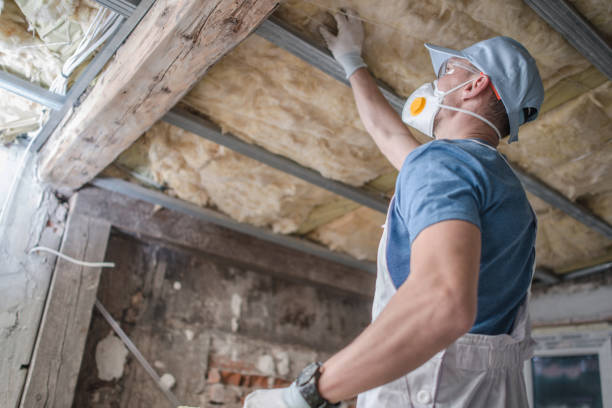 Best Spray Foam Insulation in Idyllwild Pine Cove, CA